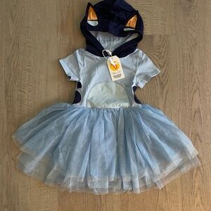 NWT Taylor Joelle Bluey Dress